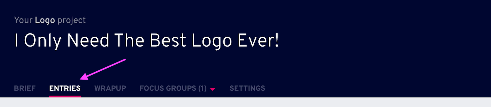 entries tab project dashboard