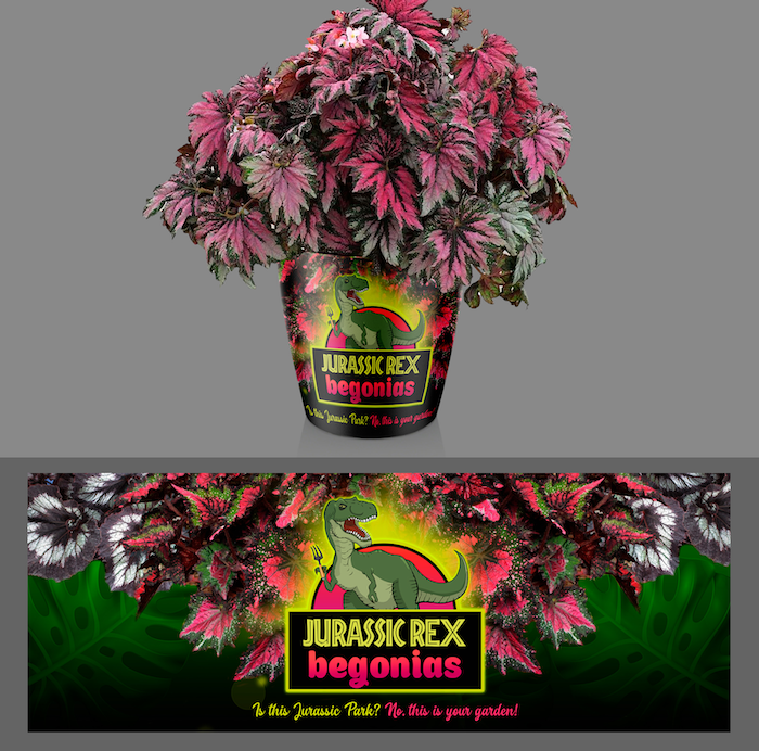 humorous illustrations on packaging design